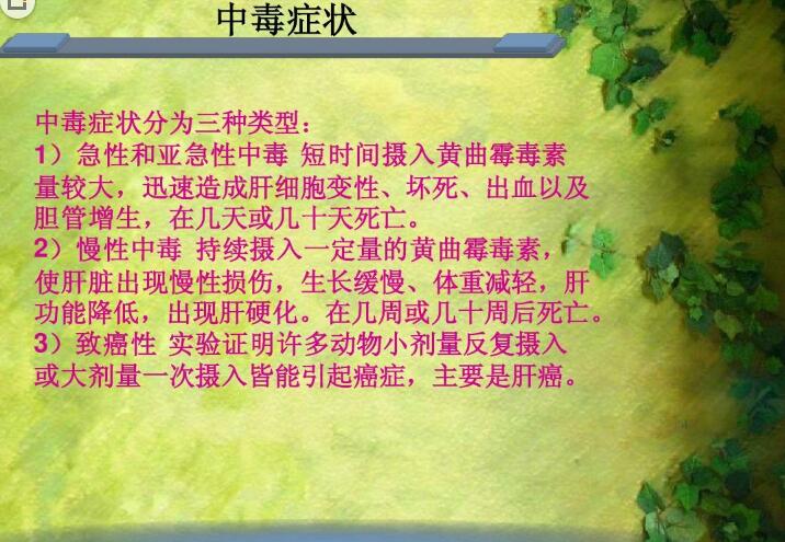 六、黃曲霉毒素對人和動物有哪些危害？