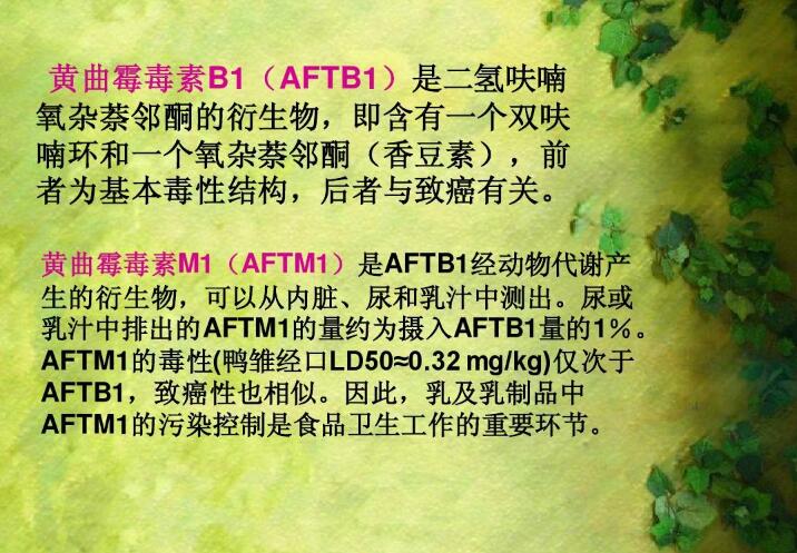  四、黃曲霉毒素的性質(zhì)